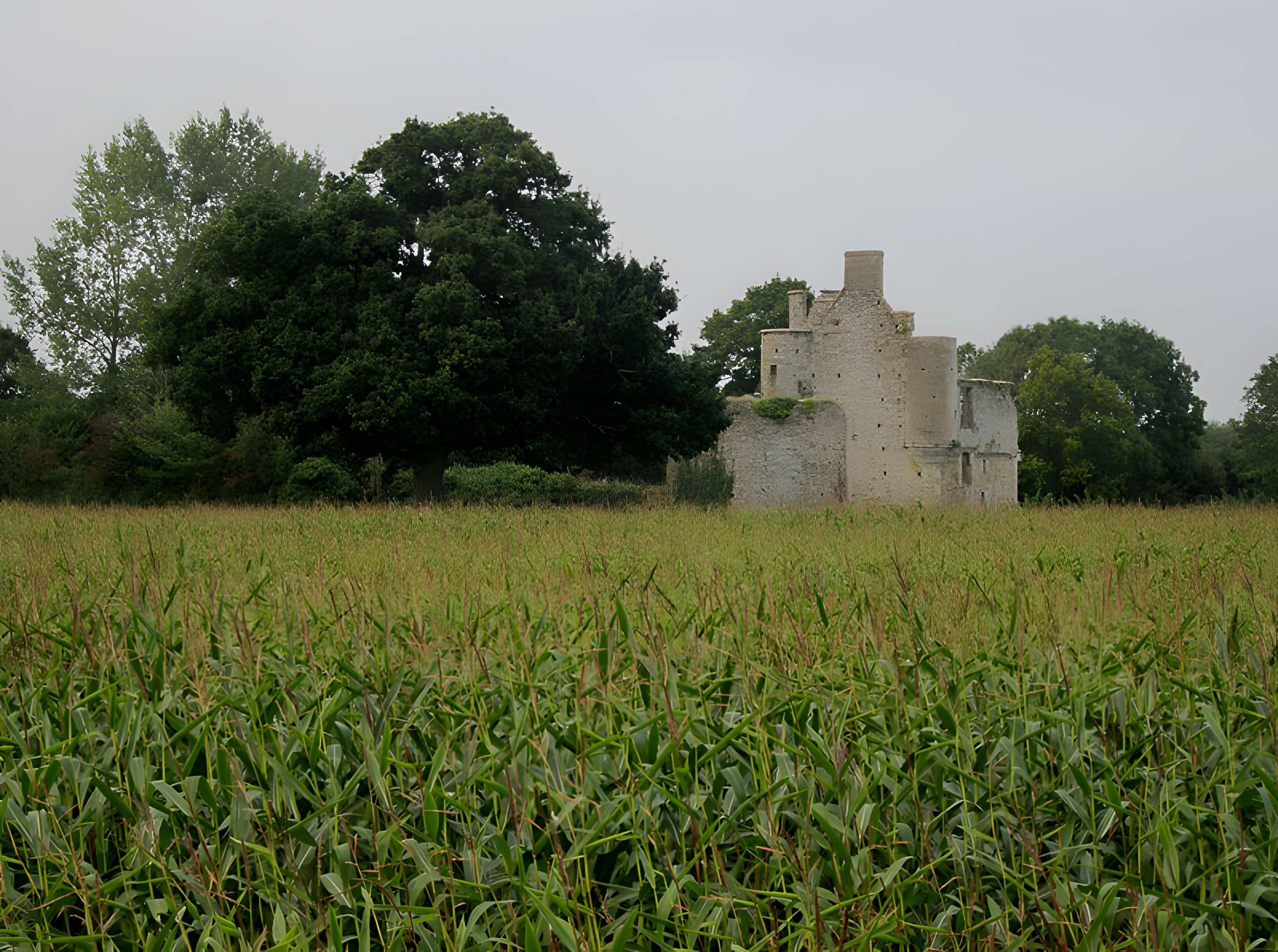 Ensemble des ruines du château de Montfort