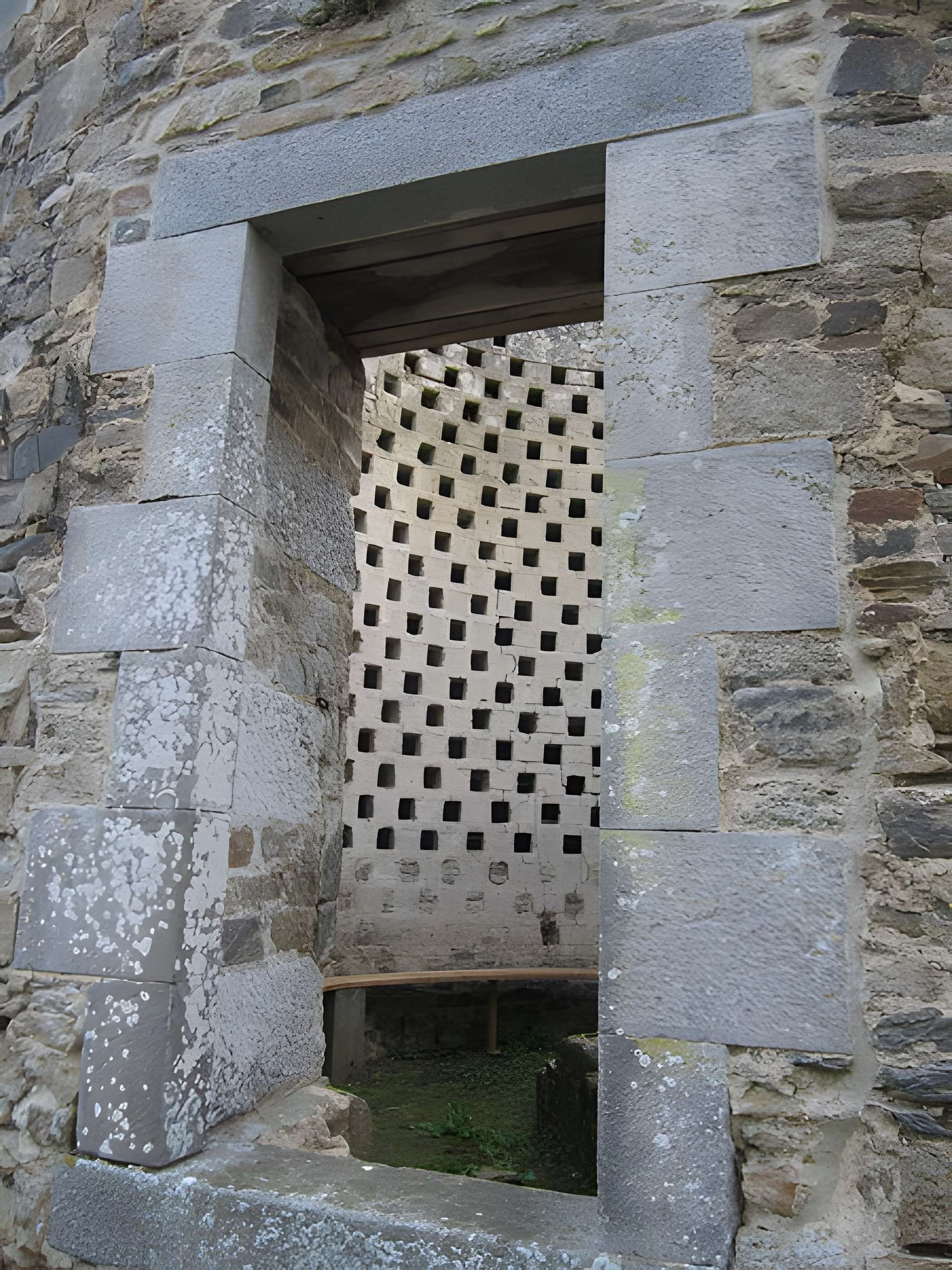 Ensemble des ruines du château de Montfort