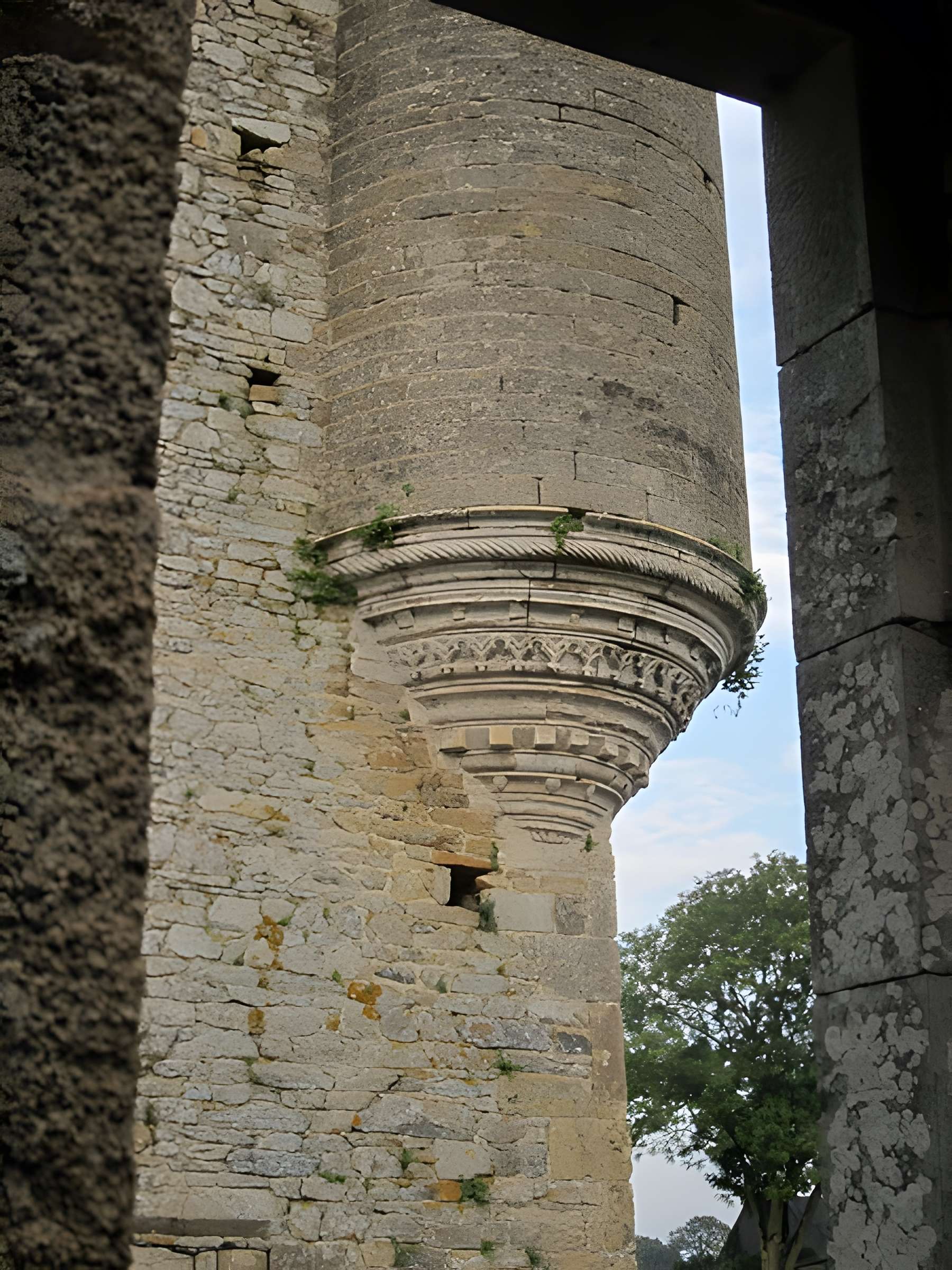 Ensemble des ruines du château de Montfort