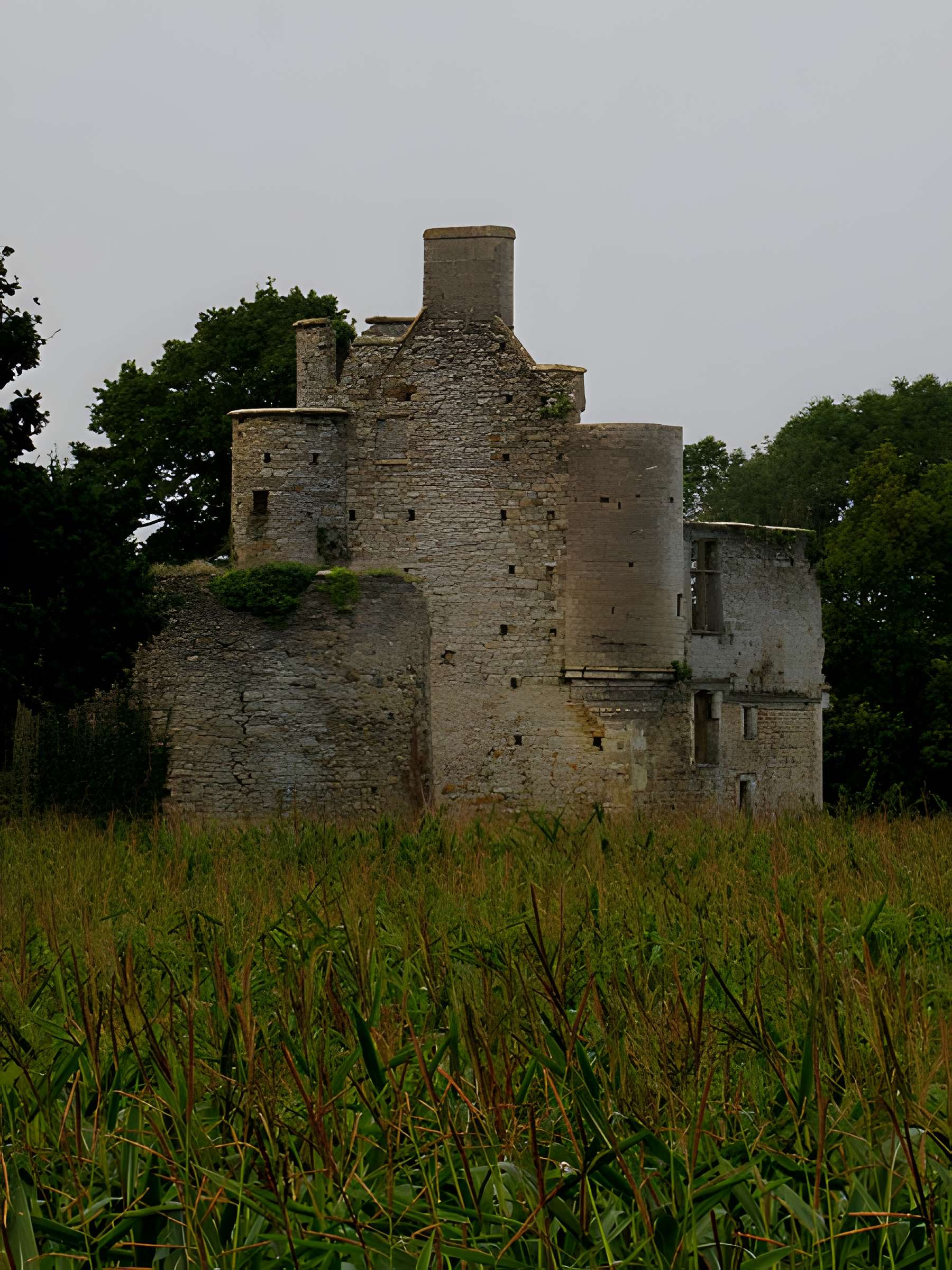 Ensemble des ruines du château de Montfort