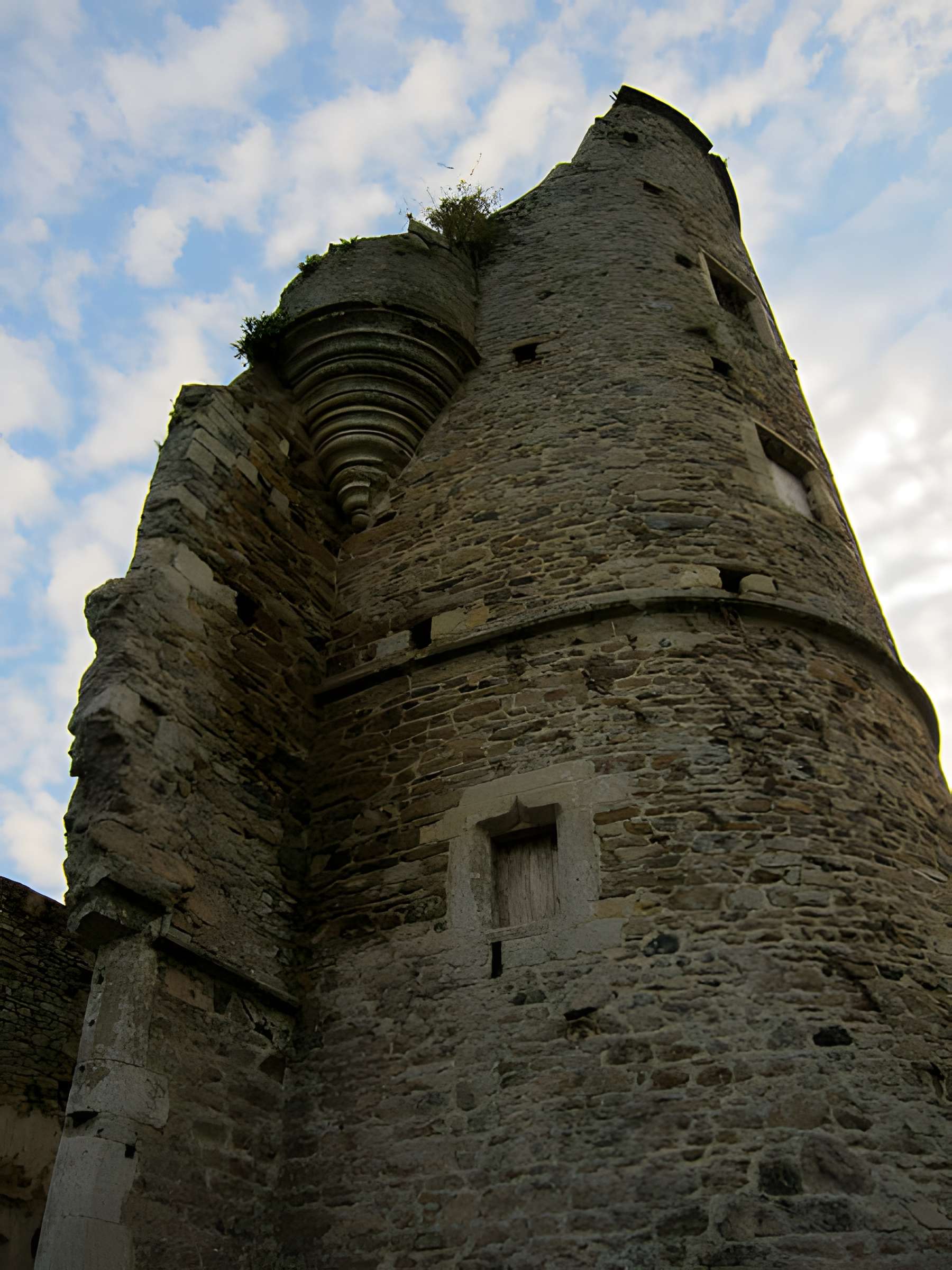 Ensemble des ruines du château de Montfort