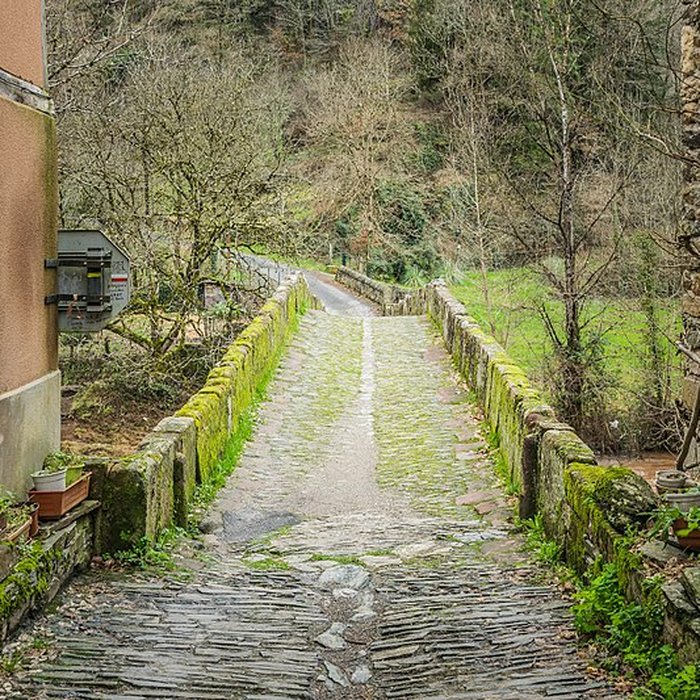 Photo de Pont sur le Dourdou à Conques