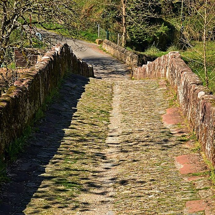 Photo de Pont sur le Dourdou à Conques