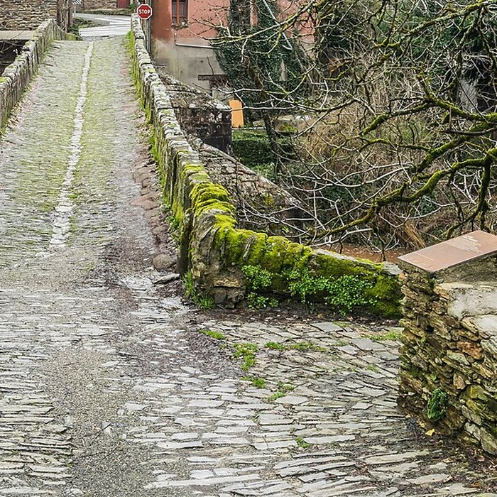 Photo de Pont sur le Dourdou à Conques
