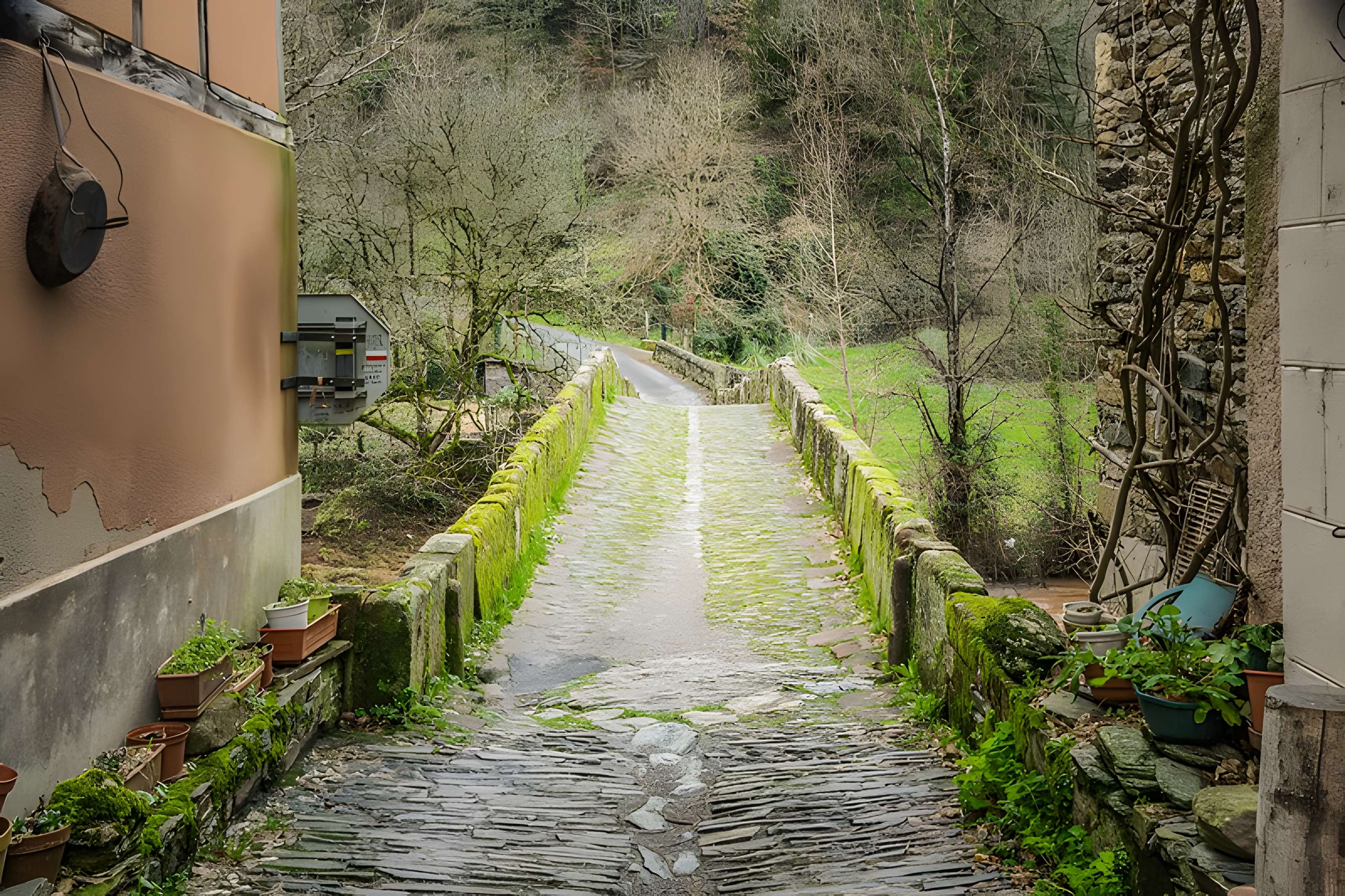 Pont sur le Dourdou à Conques