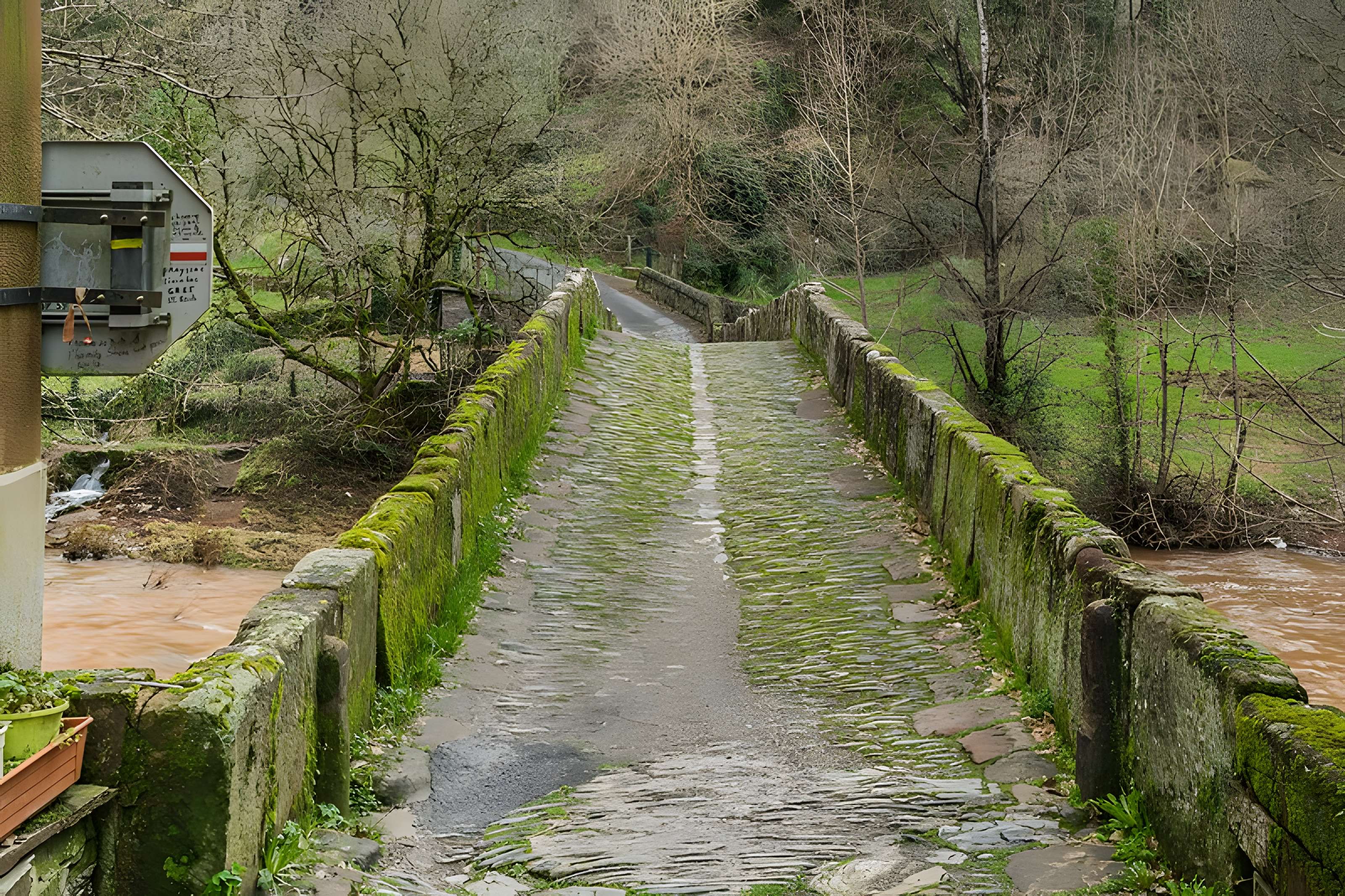 Pont sur le Dourdou à Conques