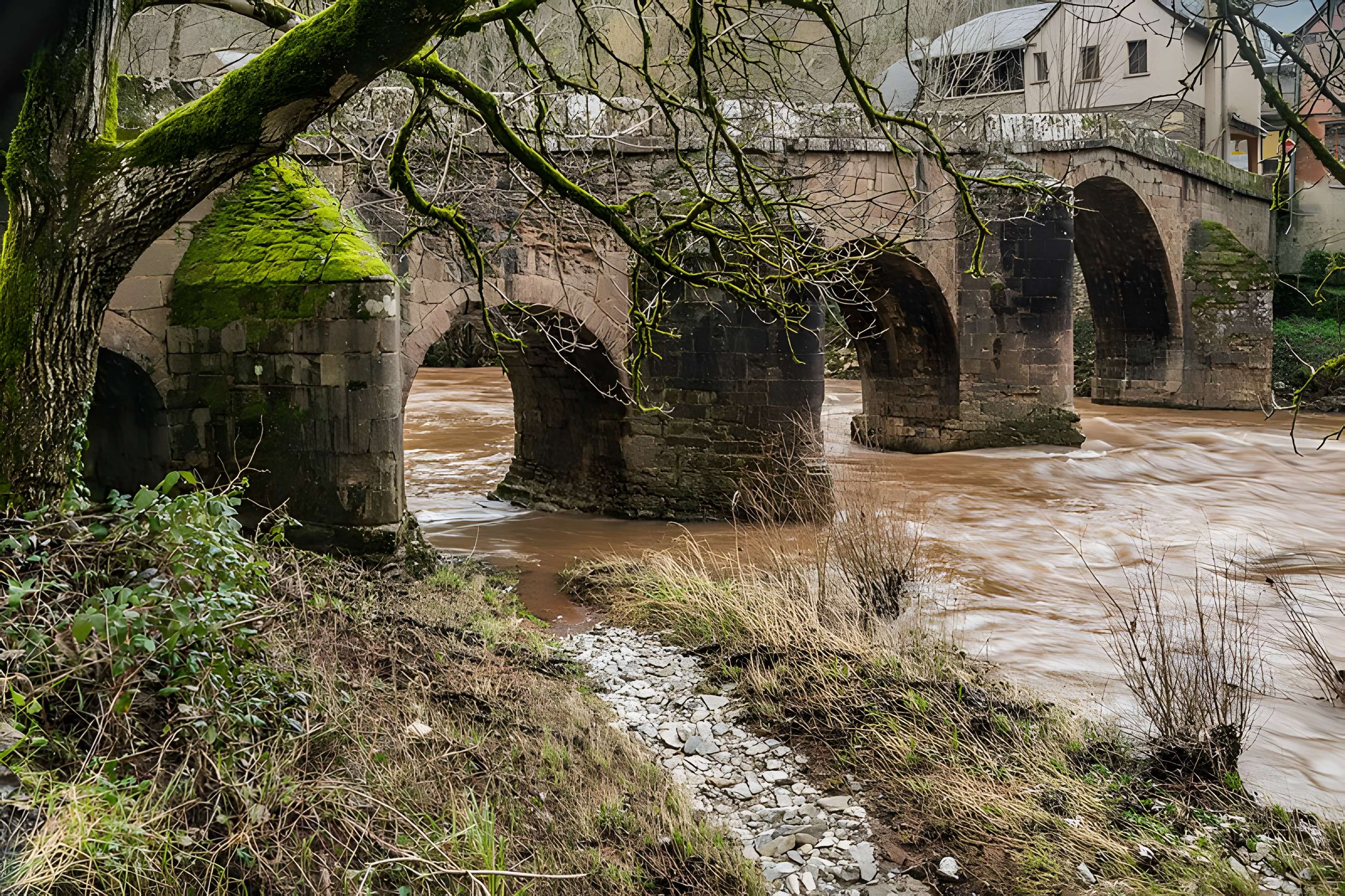 Pont sur le Dourdou à Conques