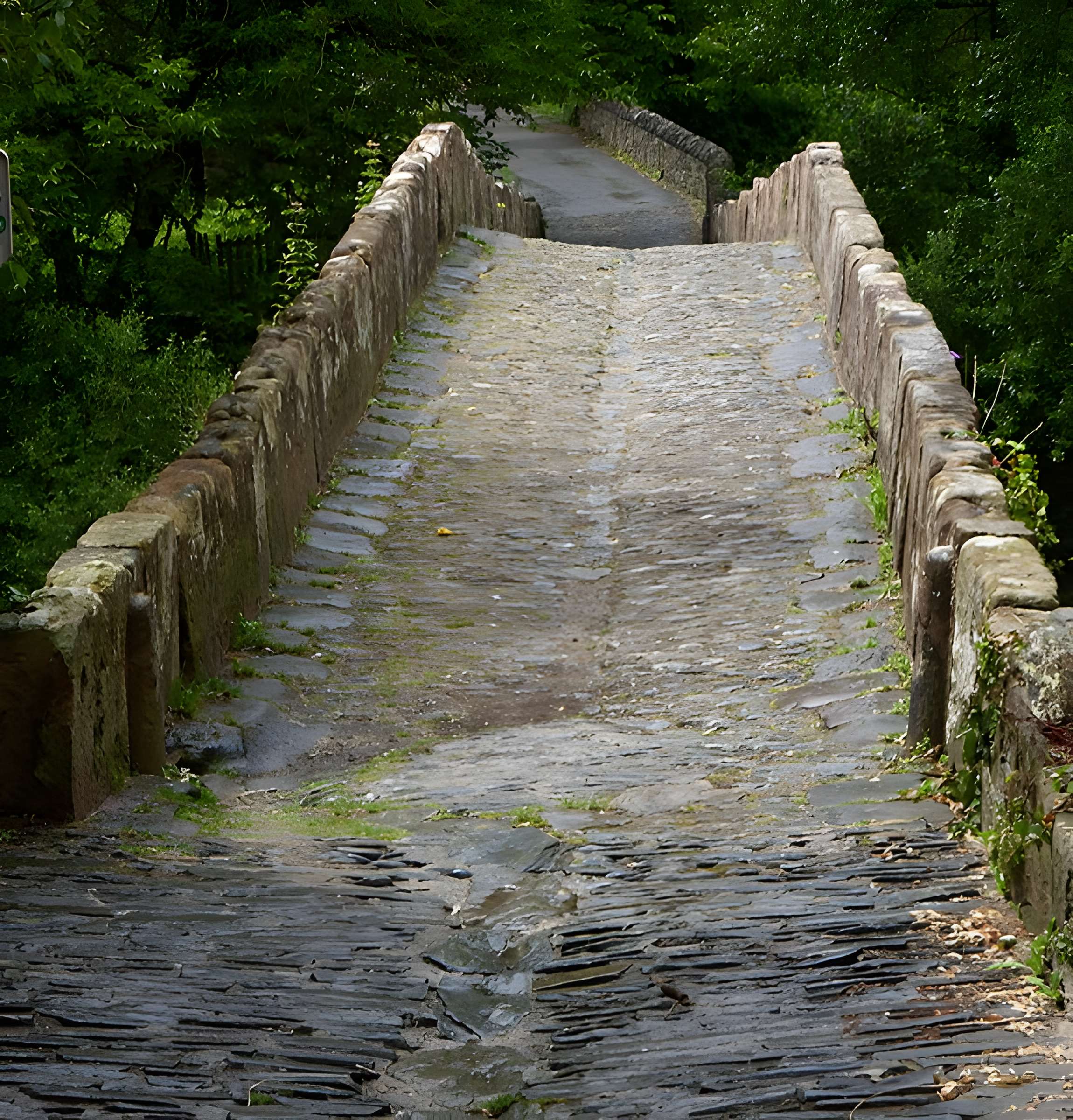 Pont sur le Dourdou à Conques