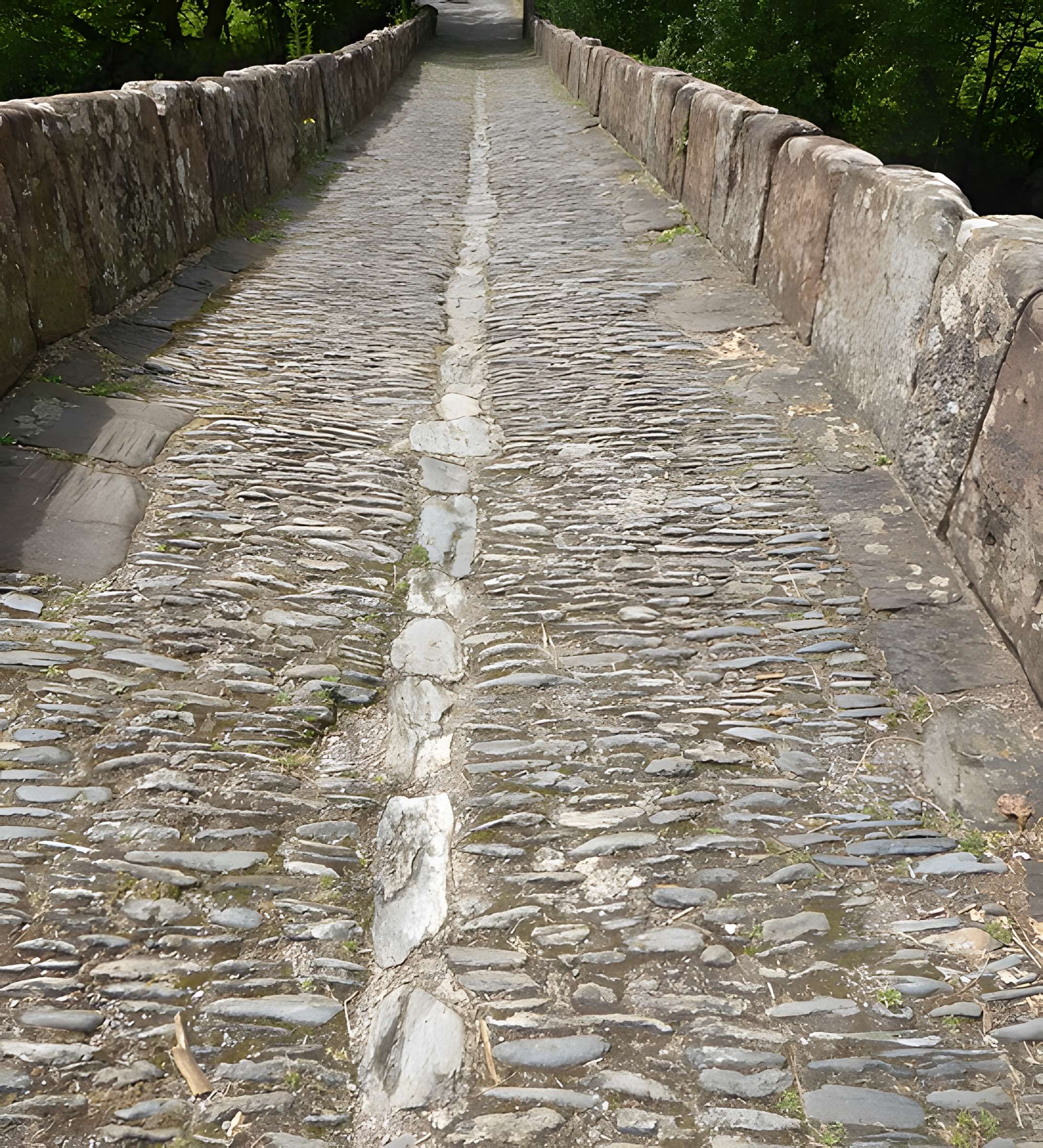 Pont sur le Dourdou à Conques