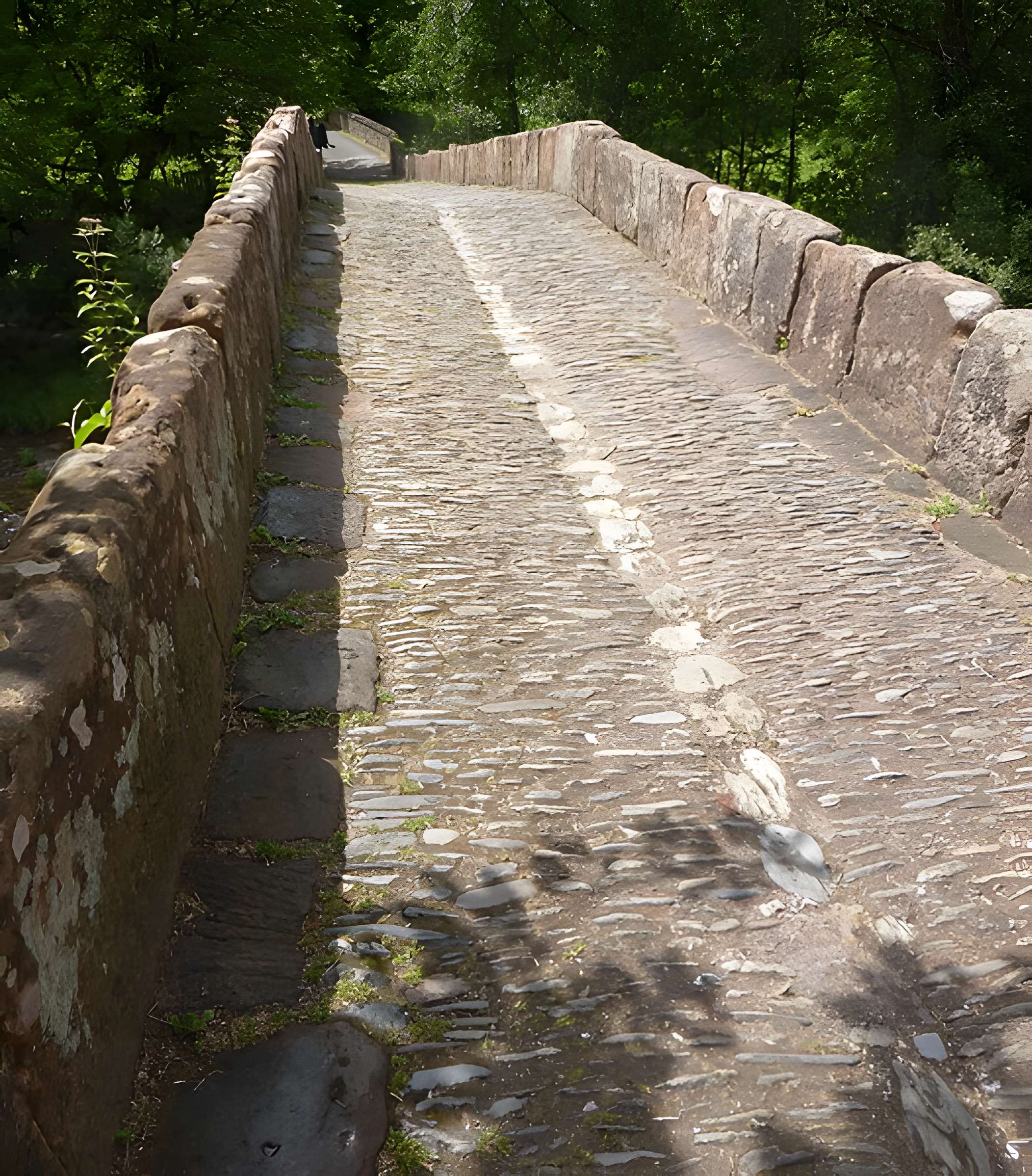Pont sur le Dourdou à Conques