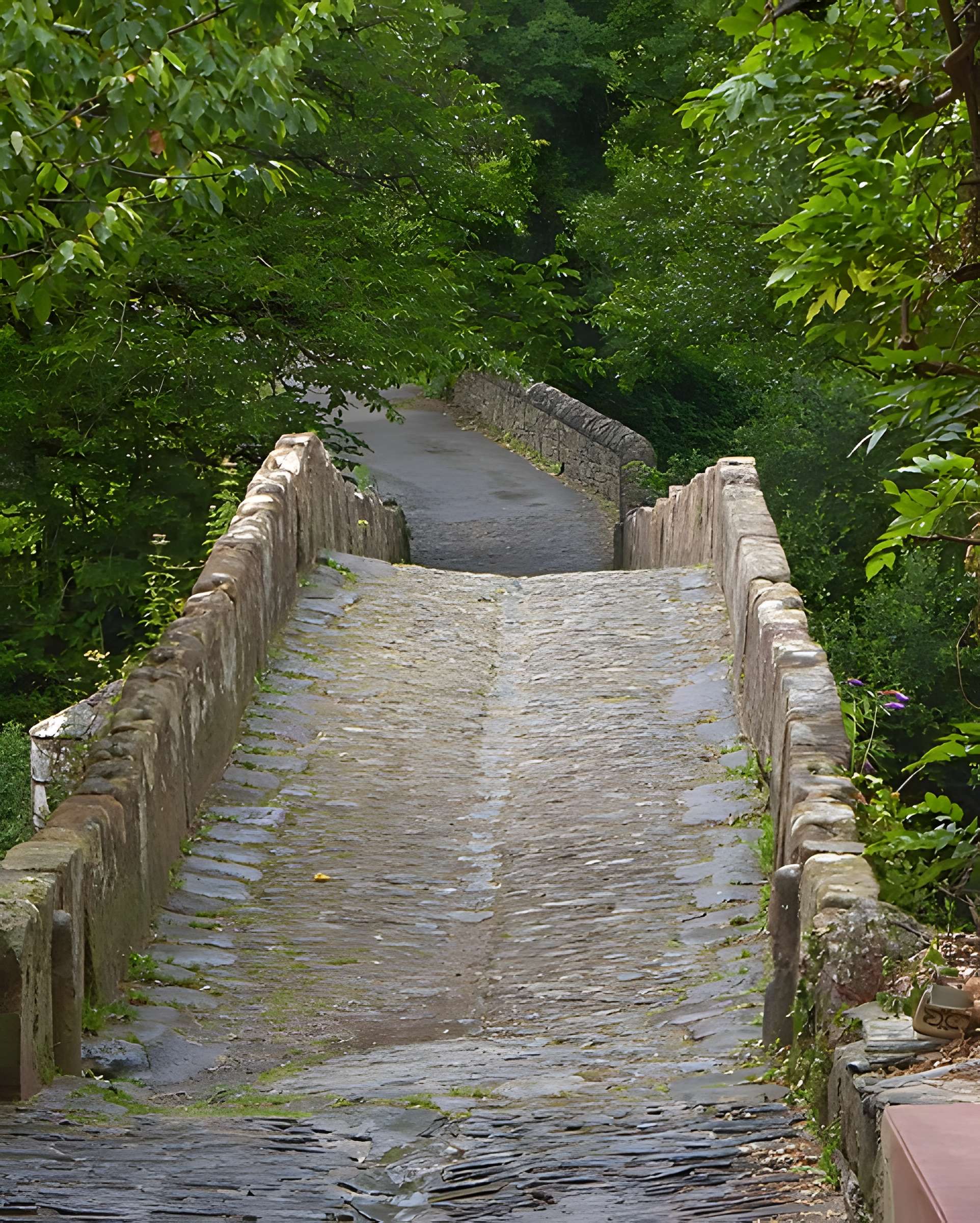 Pont sur le Dourdou à Conques