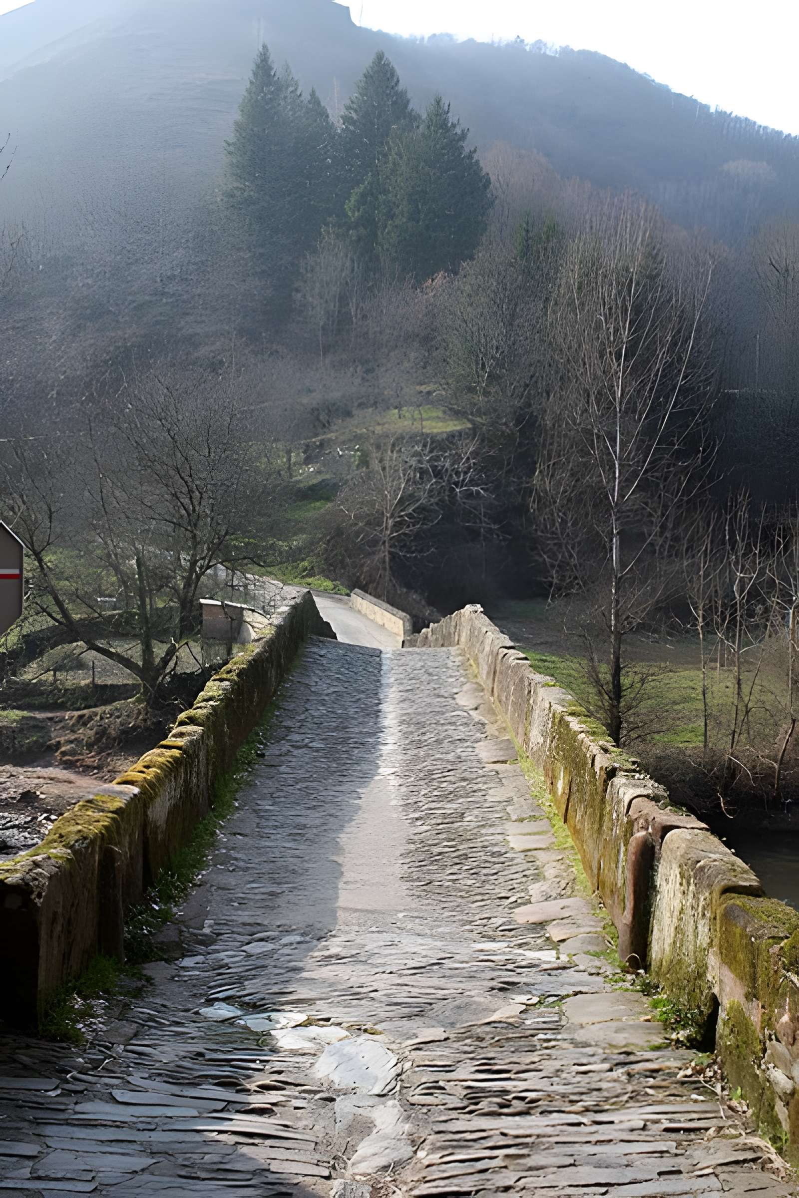 Pont sur le Dourdou à Conques