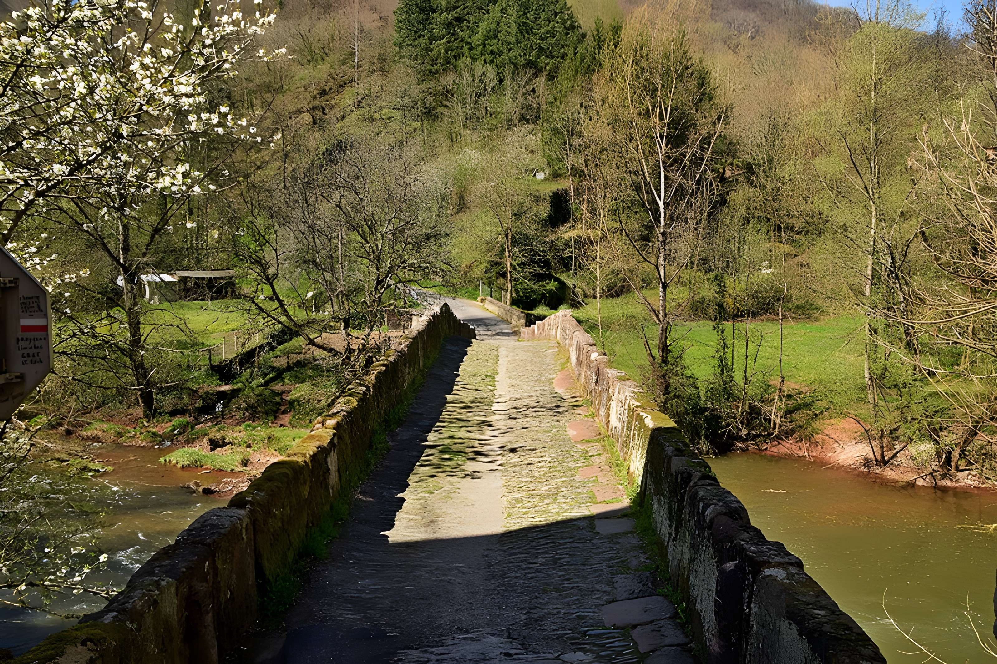 Pont sur le Dourdou à Conques