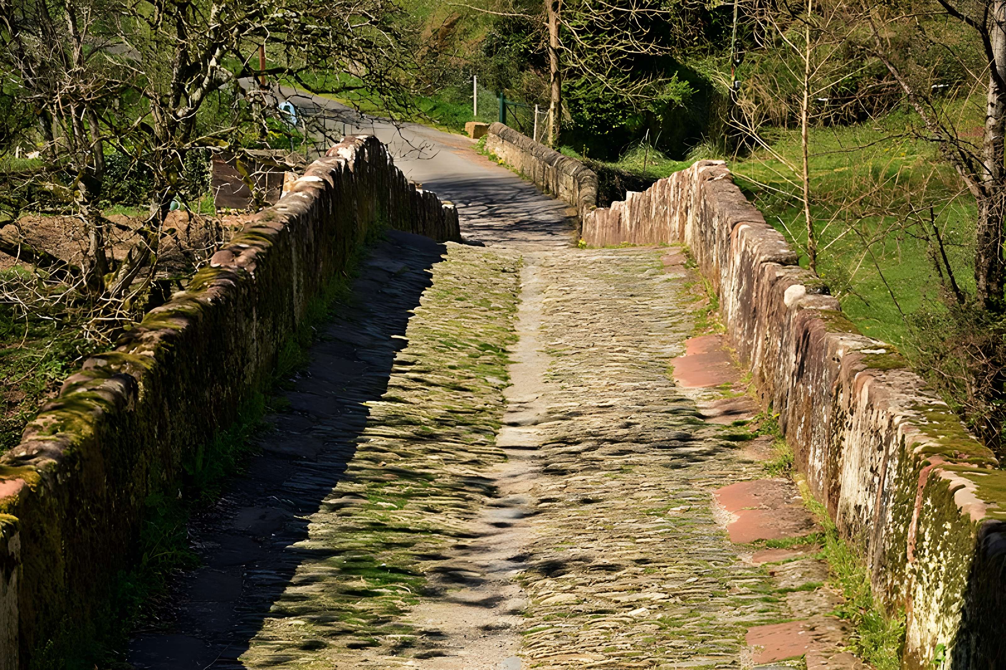 Pont sur le Dourdou à Conques