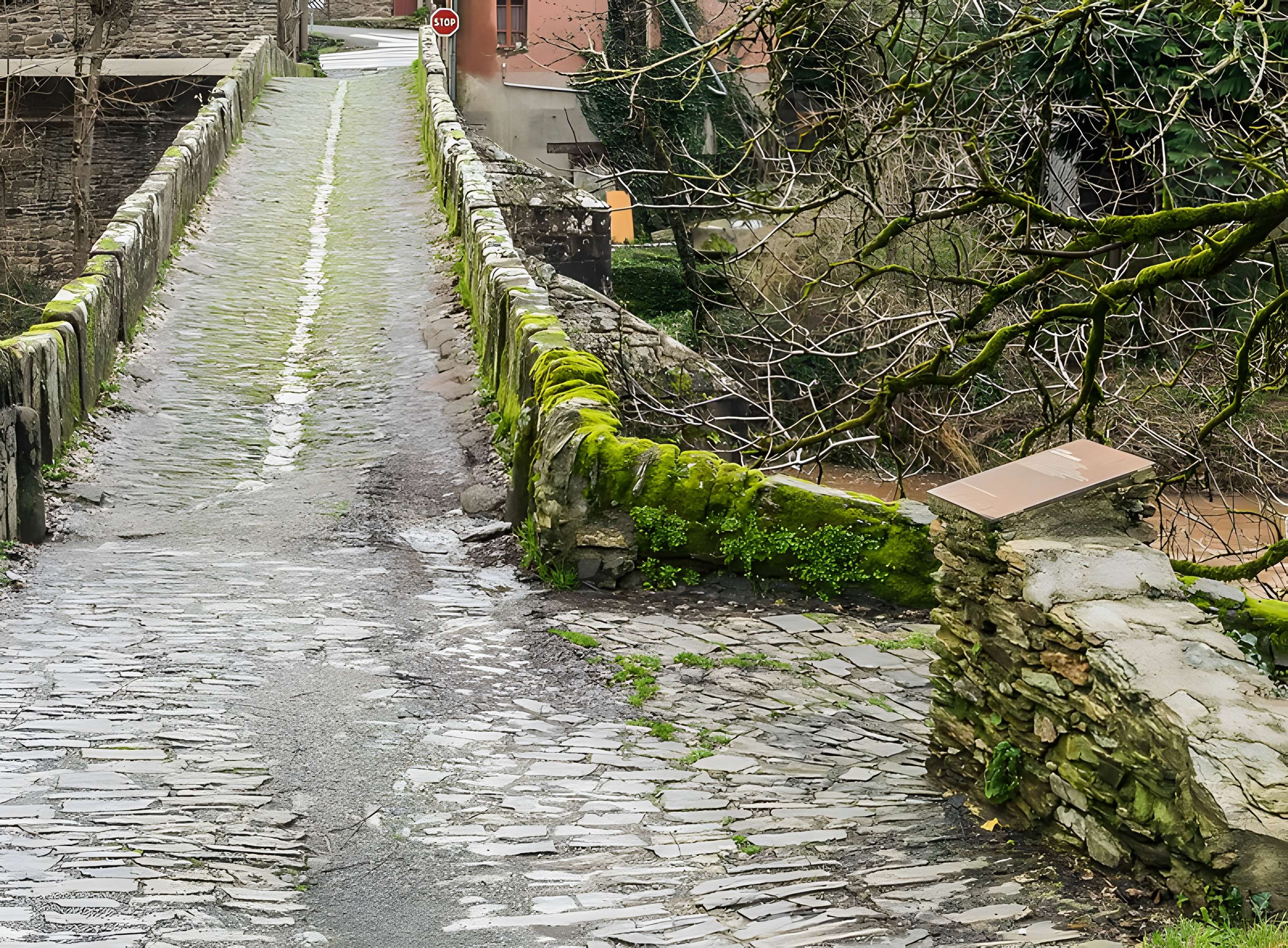 Pont sur le Dourdou à Conques