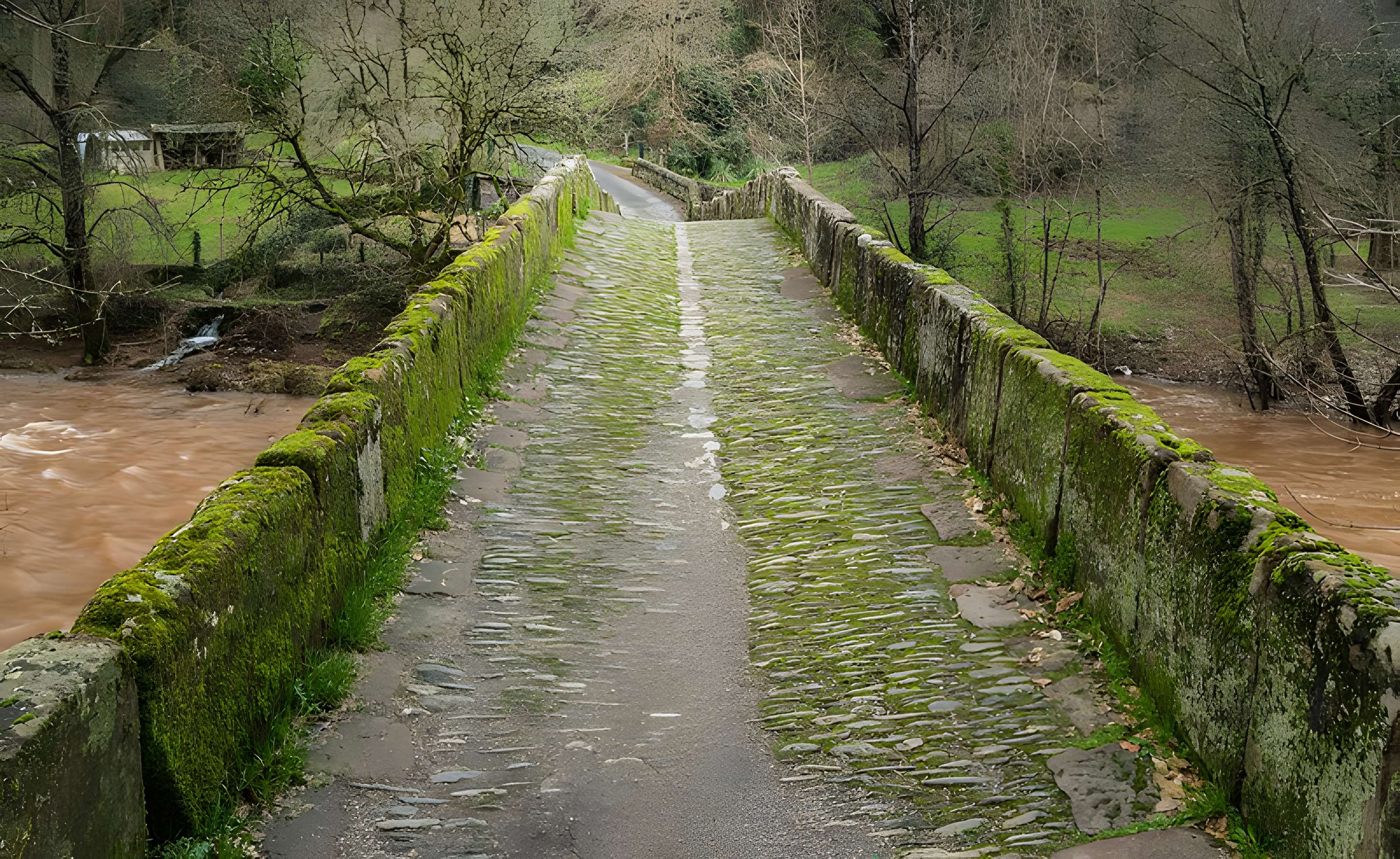 Pont sur le Dourdou à Conques