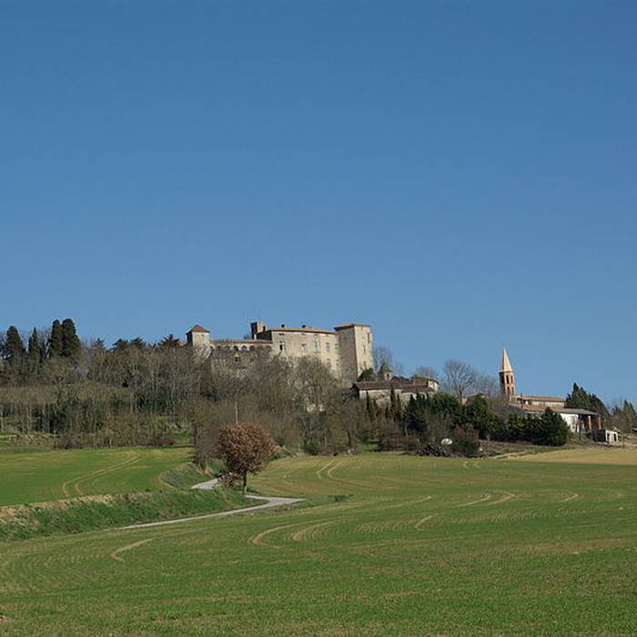 Photo de Château de Montgey