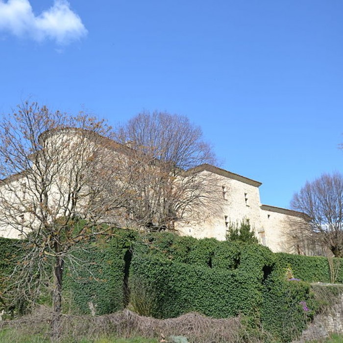 Photo de Château de Montjoux