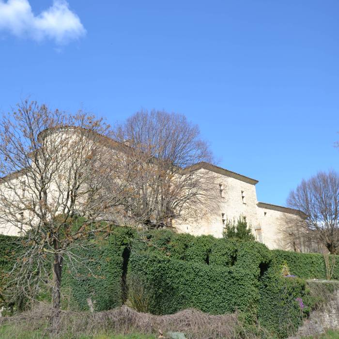 Photo de Château de Montjoux