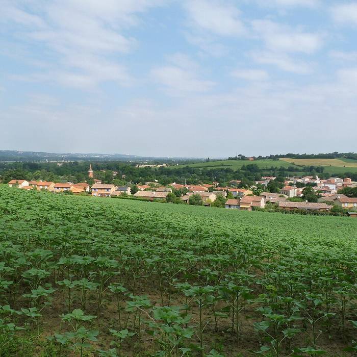 Photo de Château de Montlaur