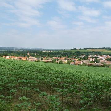 Château de Montlaur
