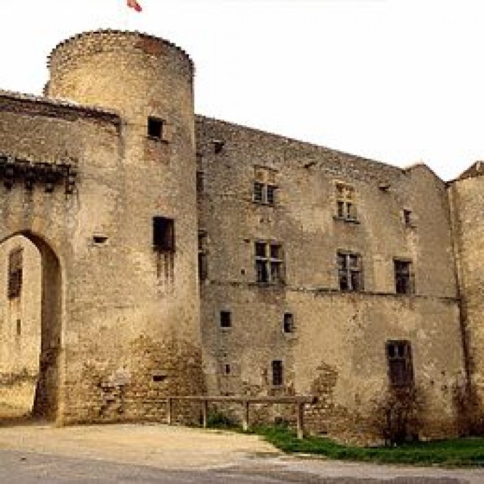 Photo de Château de Montmaur
