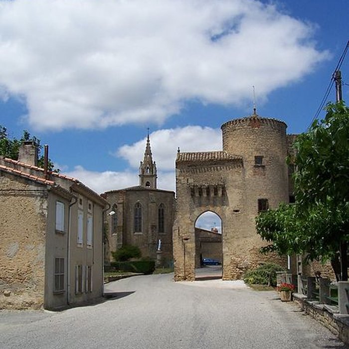 Photo de Château de Montmaur