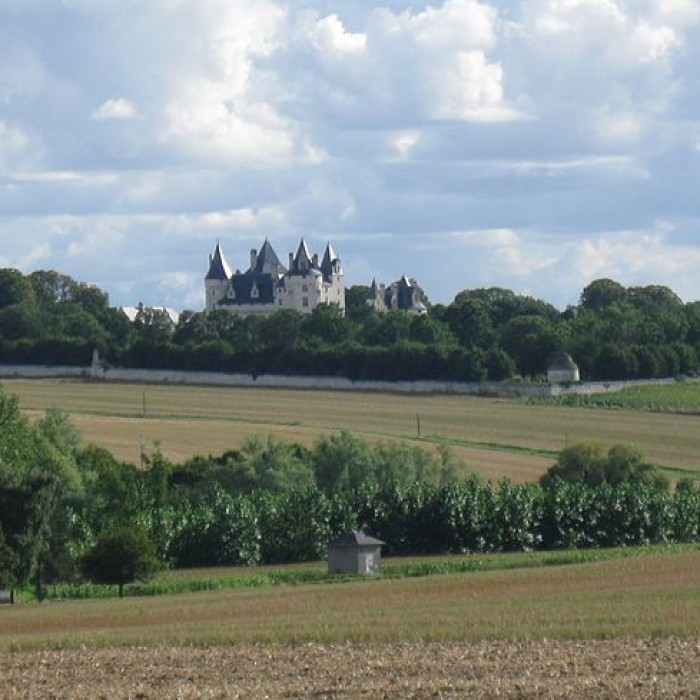 Photo de Domaine de Montpensier ou Coudray-Montpensier