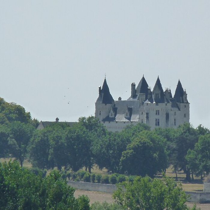 Photo de Domaine de Montpensier ou Coudray-Montpensier