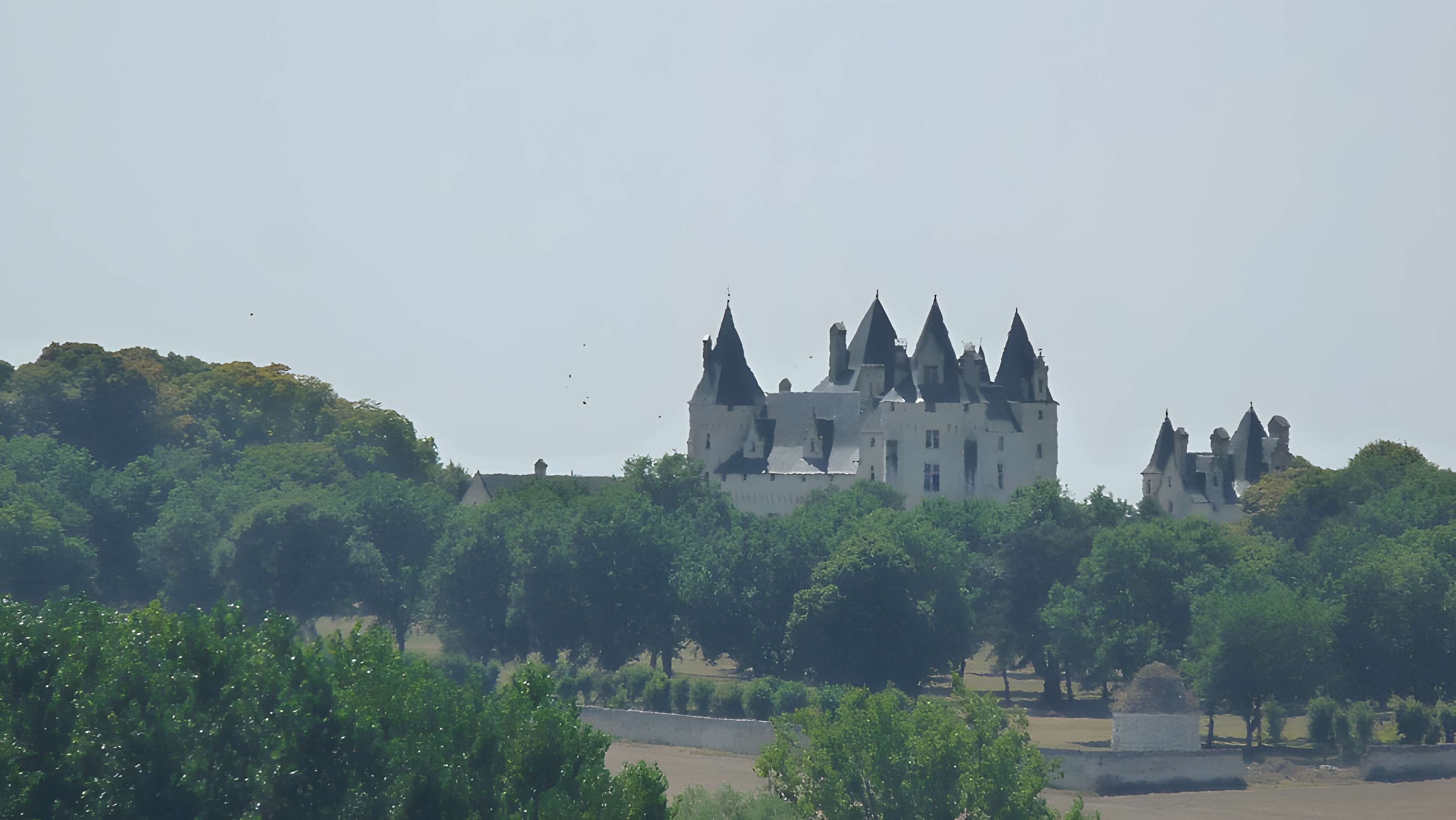 Domaine de Montpensier ou Coudray-Montpensier