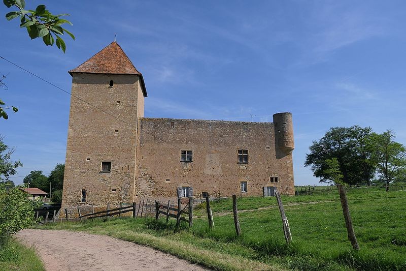 Photo de Château de Montrenard
