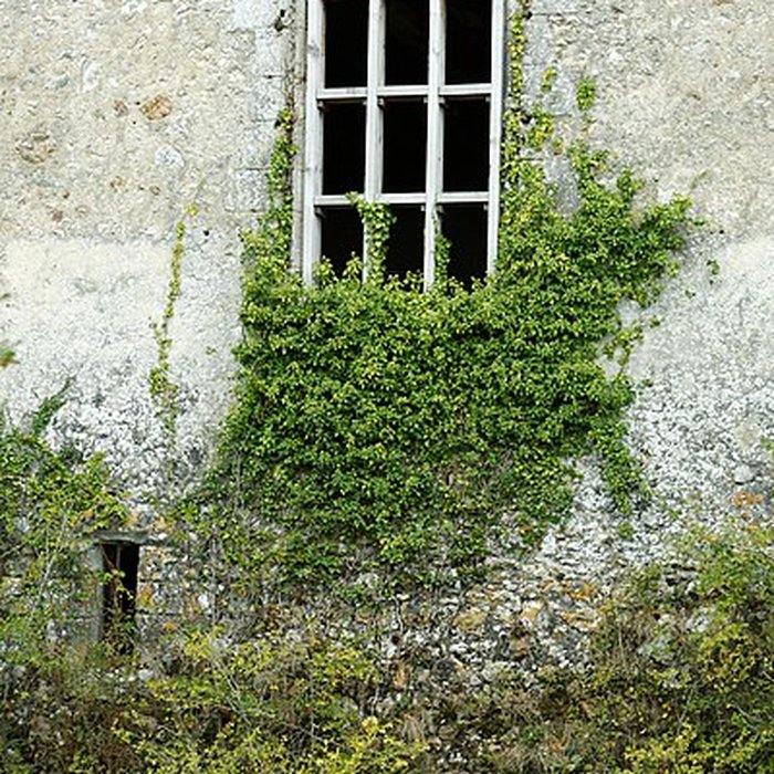 Photo de Château de Montreuil-en-Touraine