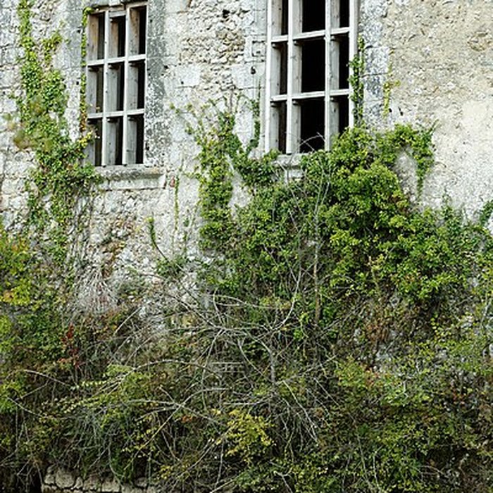 Photo de Château de Montreuil-en-Touraine