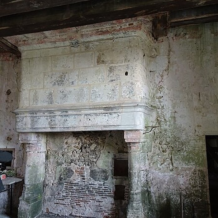 Photo de Château de Montreuil-en-Touraine