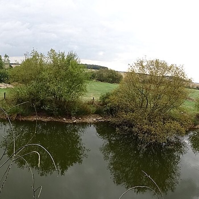 Photo de Château de Montreuil-en-Touraine