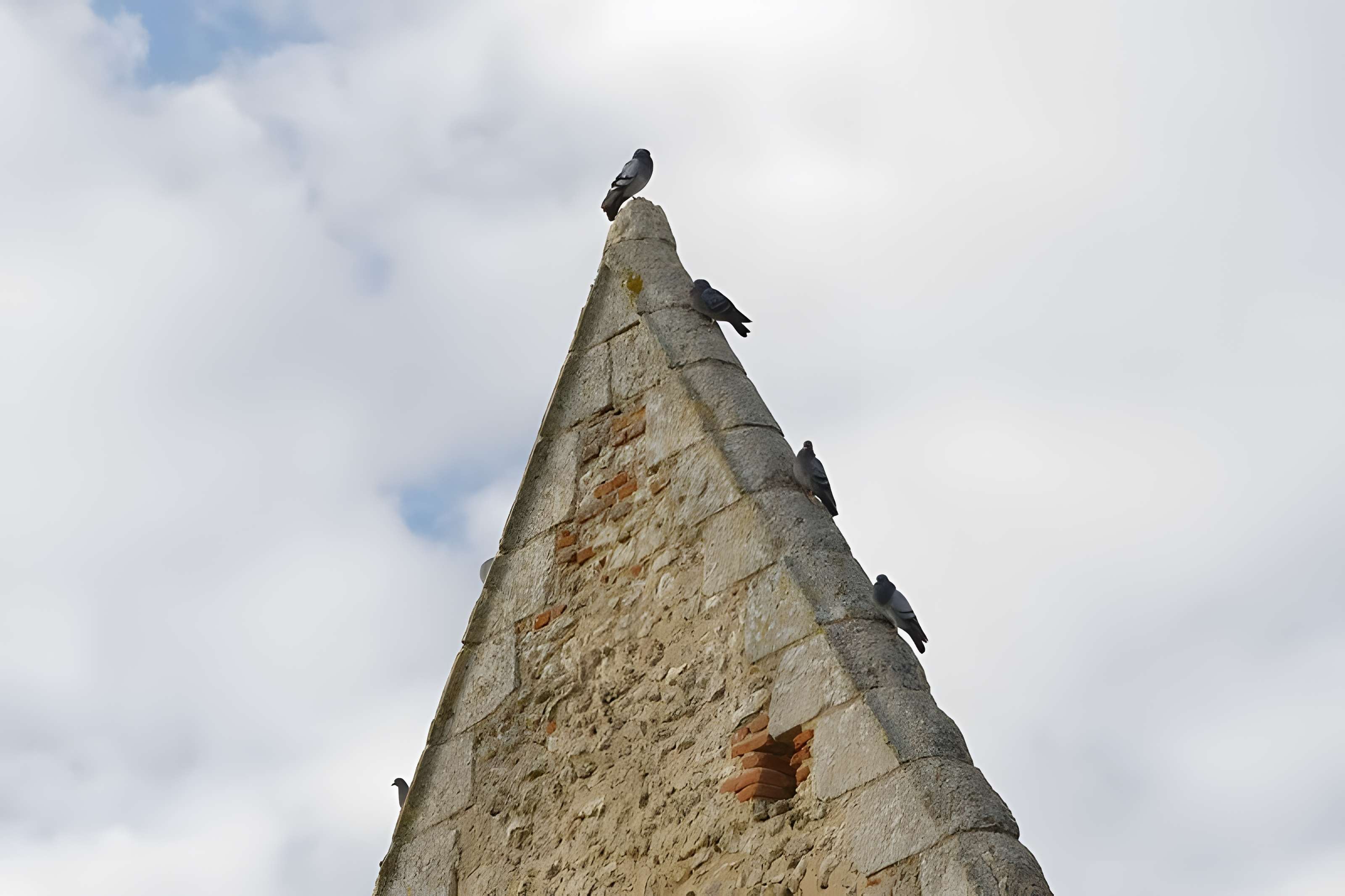 Château de Montreuil-en-Touraine