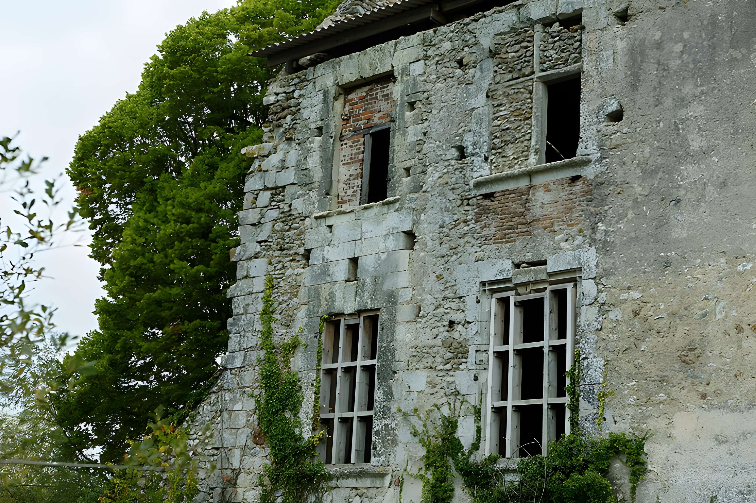 Château de Montreuil-en-Touraine