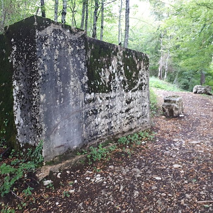 Photo de Ruines du château de Montrond