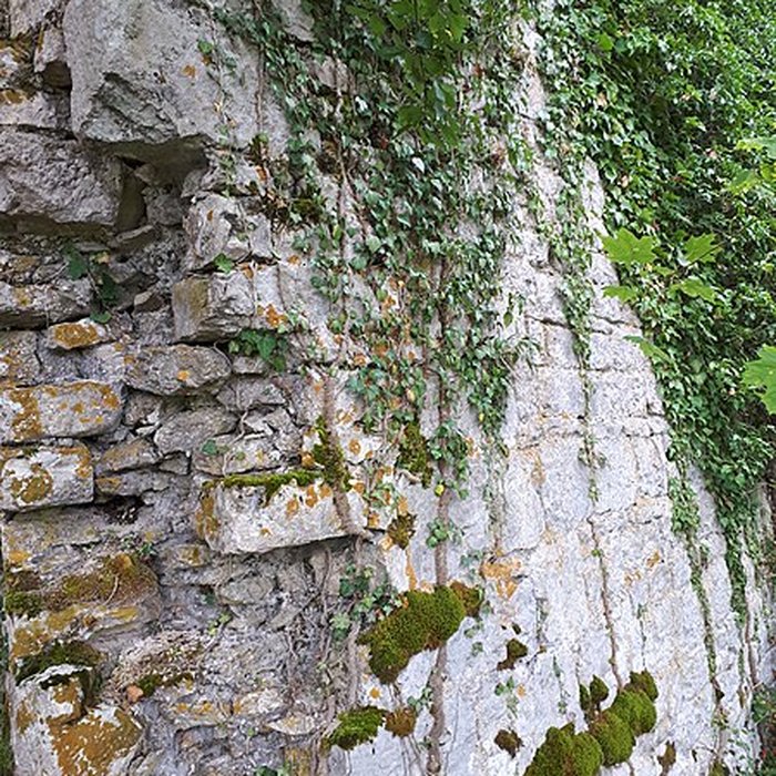 Photo de Ruines du château de Montrond
