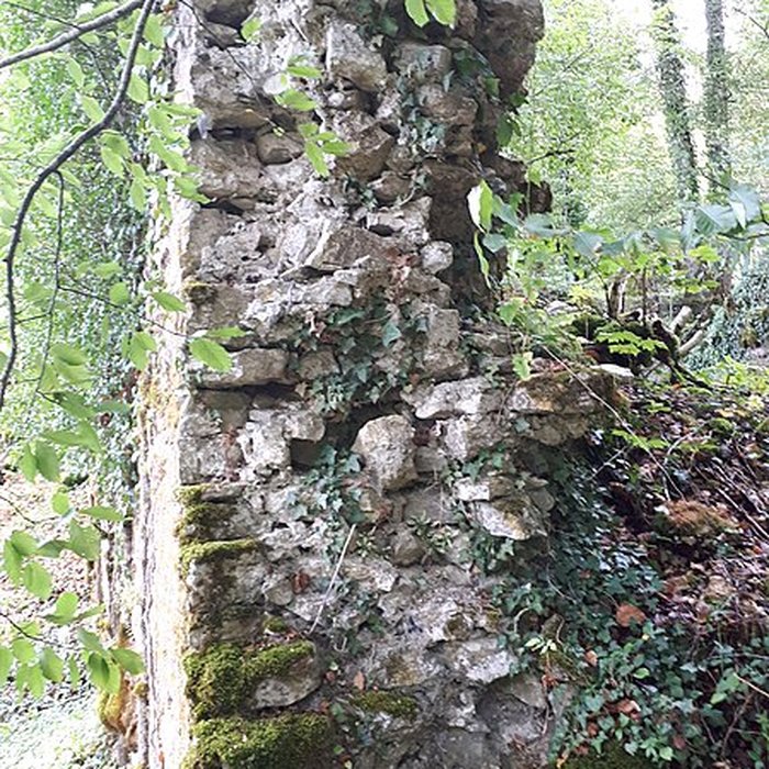 Photo de Ruines du château de Montrond