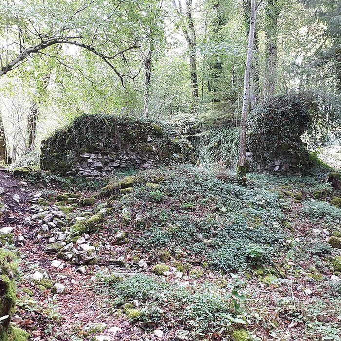 Photo de Ruines du château de Montrond