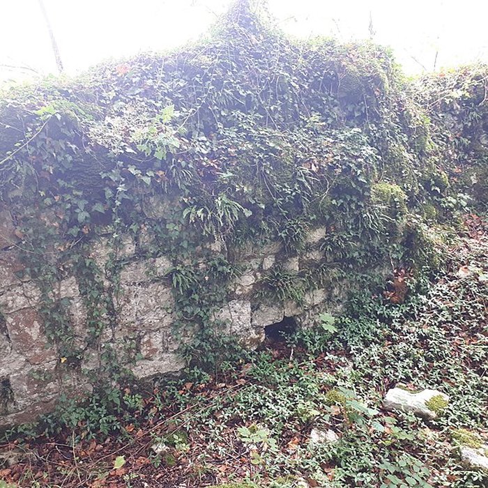 Photo de Ruines du château de Montrond