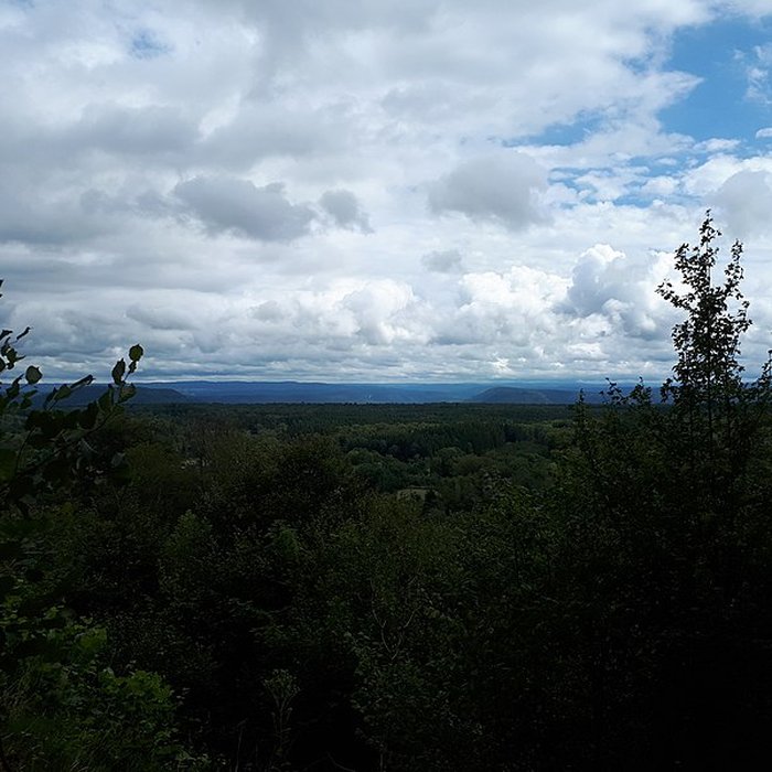 Photo de Ruines du château de Montrond
