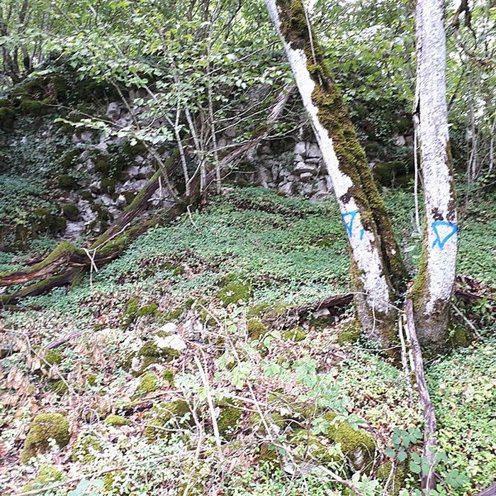 Photo de Ruines du château de Montrond