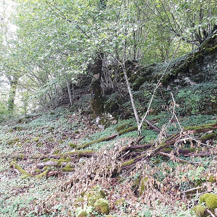 Photo de Ruines du château de Montrond
