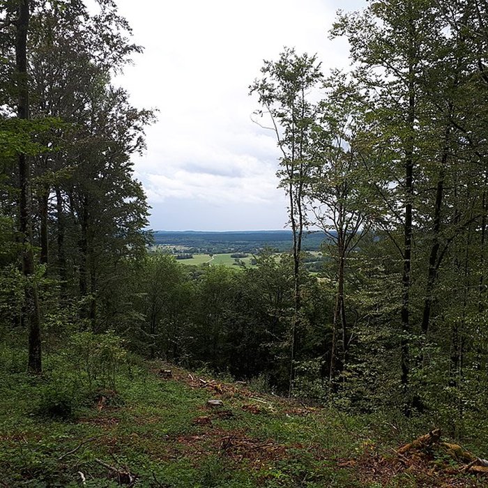 Photo de Ruines du château de Montrond