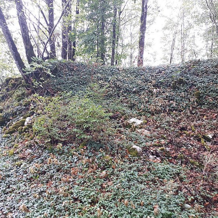 Photo de Ruines du château de Montrond