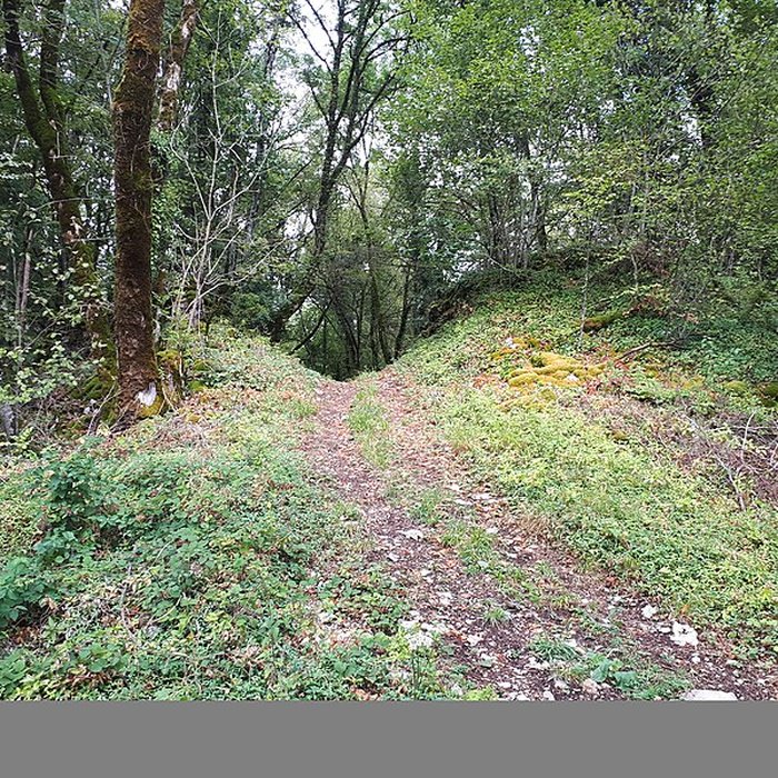 Photo de Ruines du château de Montrond