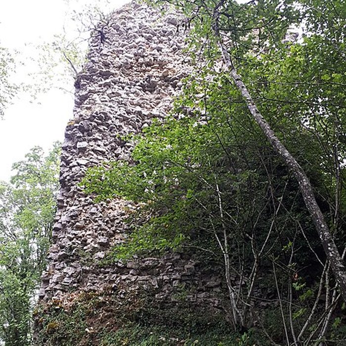 Photo de Ruines du château de Montrond