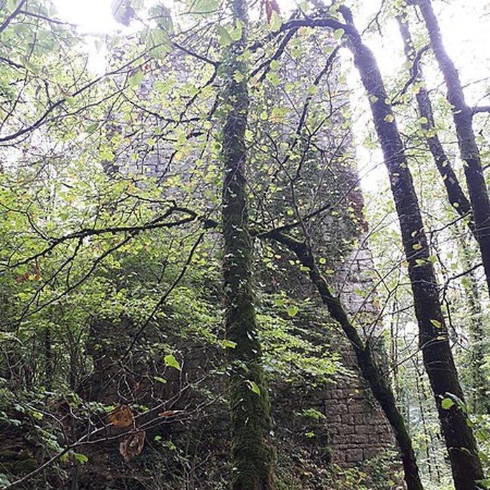 Photo de Ruines du château de Montrond